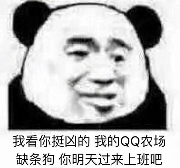 为什么沙雕熊猫可以在众多表情包中脱颖而出?