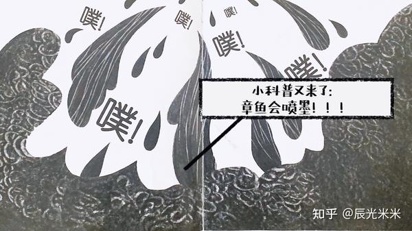 5岁 宝宝绘本):一本多功能的绘本——《章鱼先生卖雨伞》