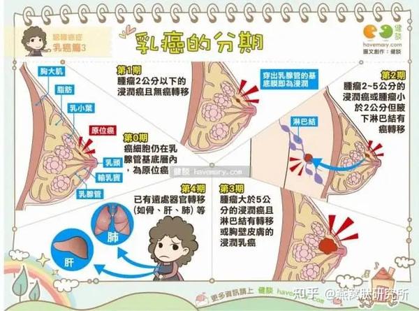 亿万姐妹福音科学家证明燕窝肽可以抑制乳腺癌