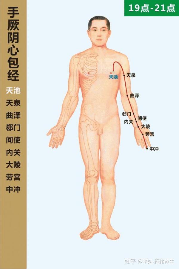 经常拍打心包经,可有效消除心脏外部的心包积液,解除心脏所受不必要的