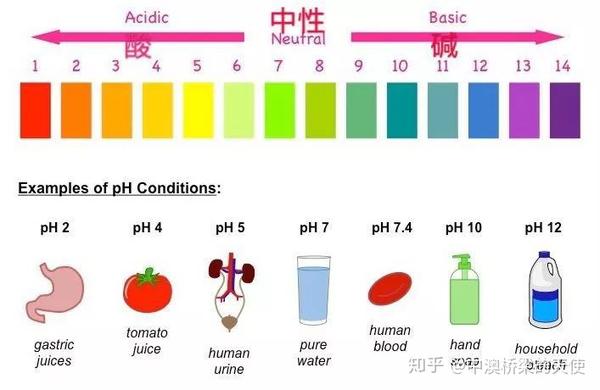 答案:醋酸 血液ph值1-14,7为中间值,正