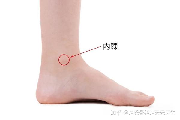 内踝 zhuanlan.zhihu.com