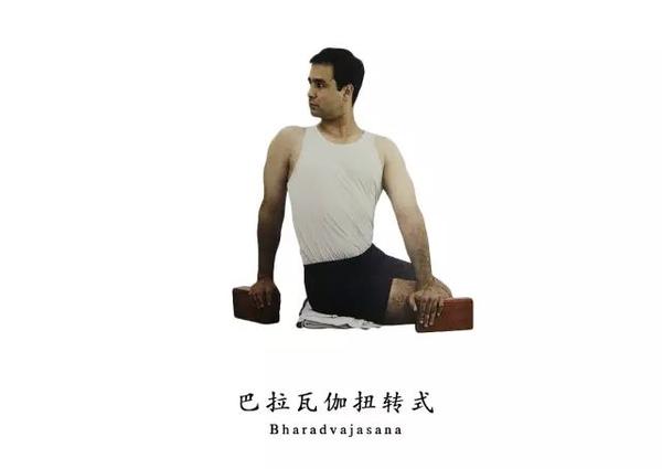 19,巴拉瓦伽扭转式(bharadvajasana)