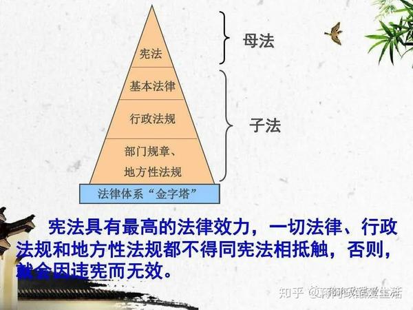 在宪法之下,有宪法相关法,民商法,经济法,刑法,行政法,社会法,诉讼与