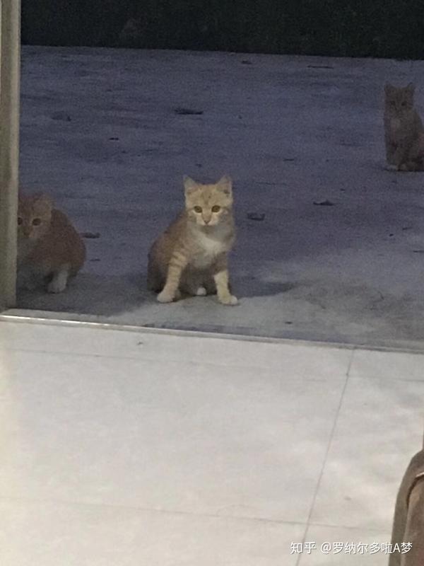小场面,不要慌