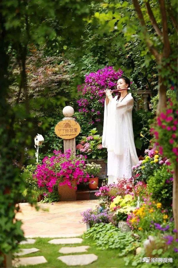 种一院子繁花,看一辈子花开花落