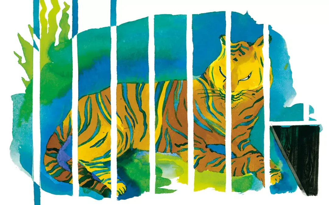 今年是虎年有什么关于虎的绘本推荐吗