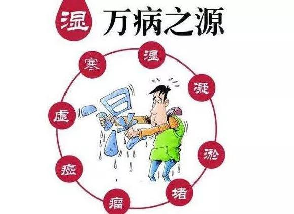 湿气要如何改善为什么会有湿气要怎么调理体内有湿气百病缠身教你排出