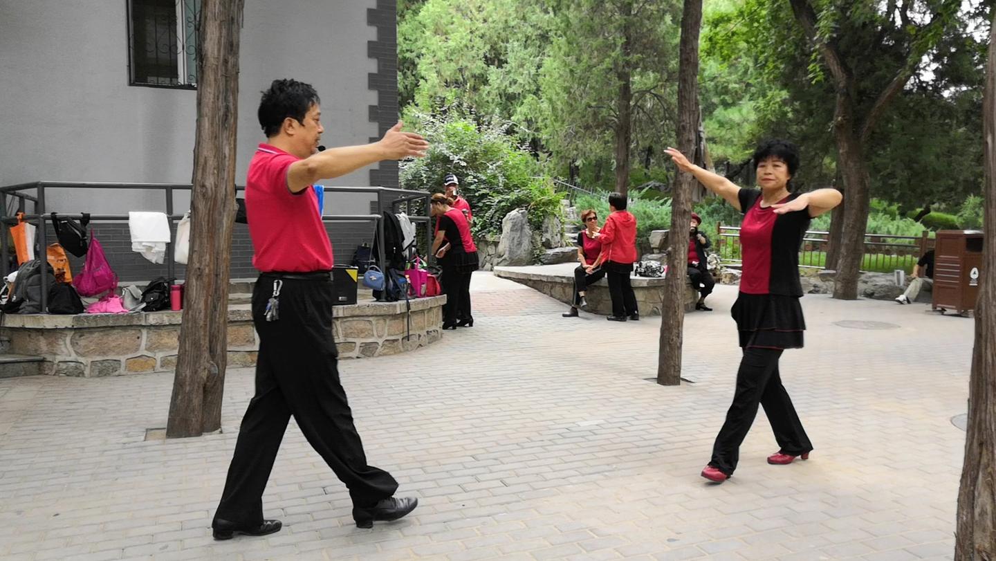 陶然亭徐舞飞扬广场舞,北京平四《基本步》分解教学