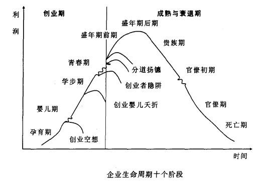 企业的生命周期十个阶段