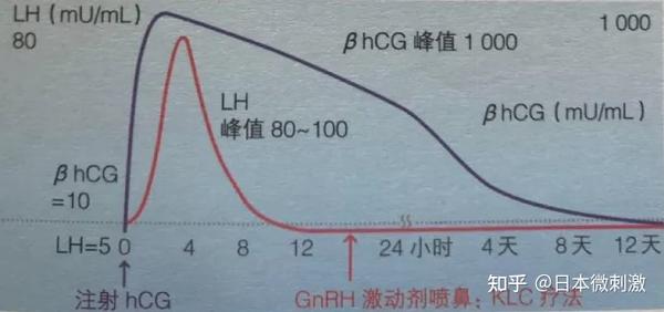 (图为一张完美的双相曲线图) 若这样的情况持续,取卵时有些女性的