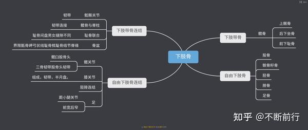 人解骨和骨连结思维导图