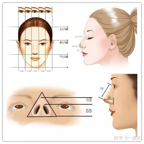什么正面符合"三庭五眼"四高三低"的比例,鼻子长度是面部长度的1/3