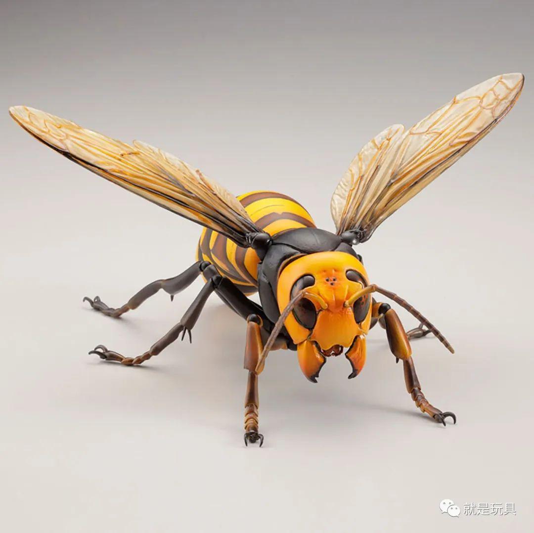 海洋堂究极可动生物这才是大黄蜂的真大哥