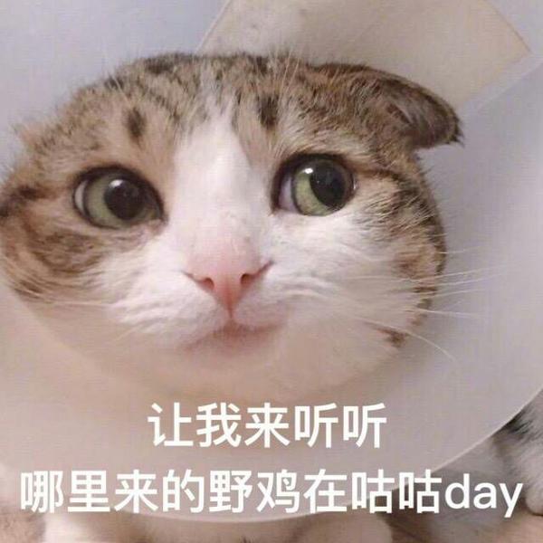 居然破千了qaq知乎小透明表示受宠若惊!