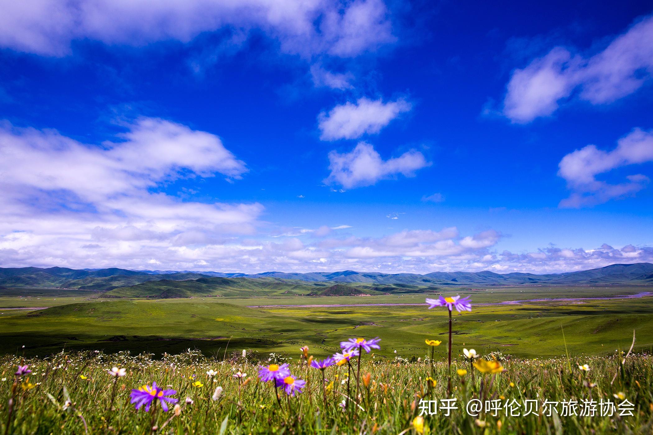 你有什么好看到爆的草原风景照片