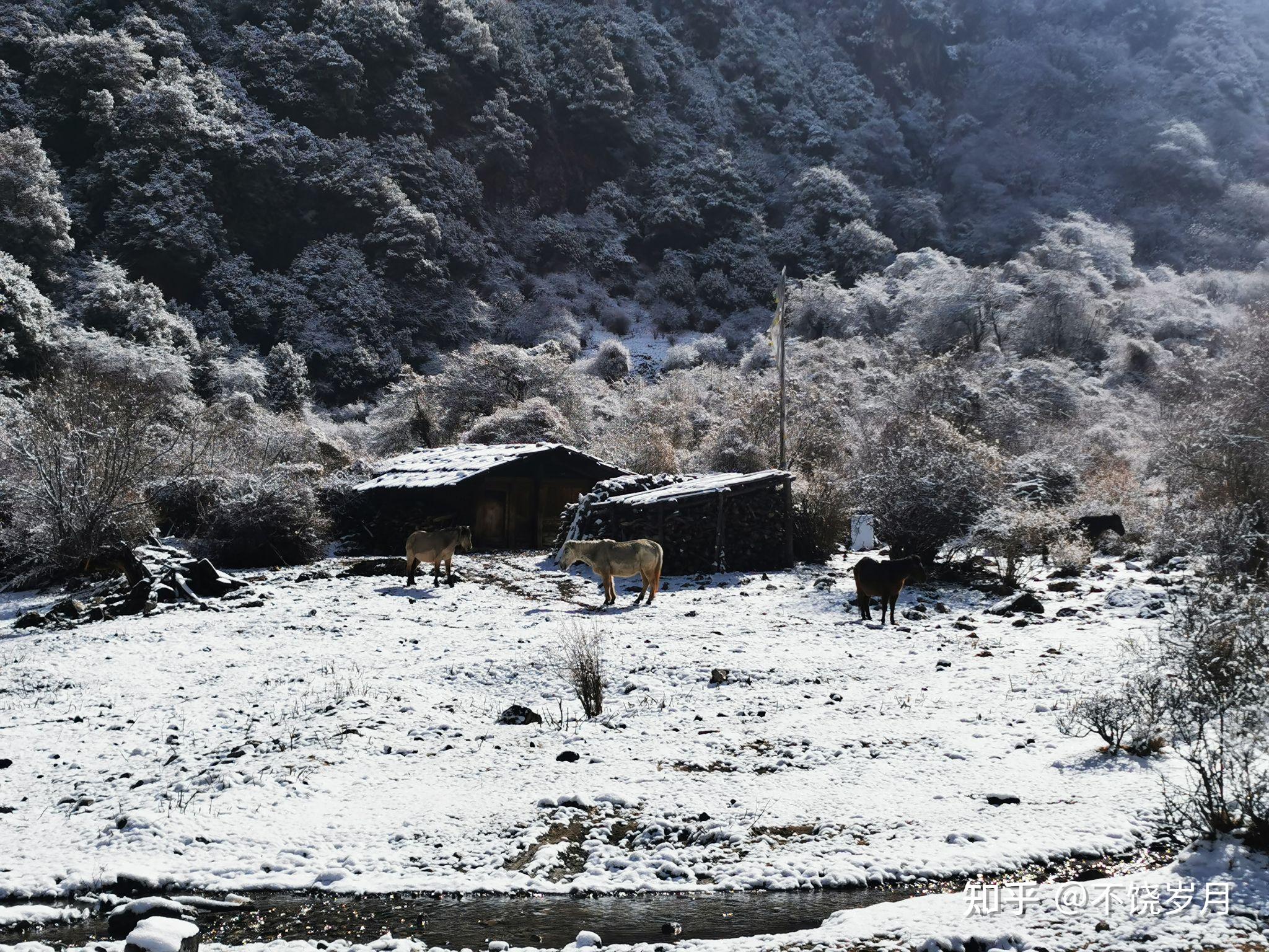 雪后行驶在西藏大山里的乡间小路