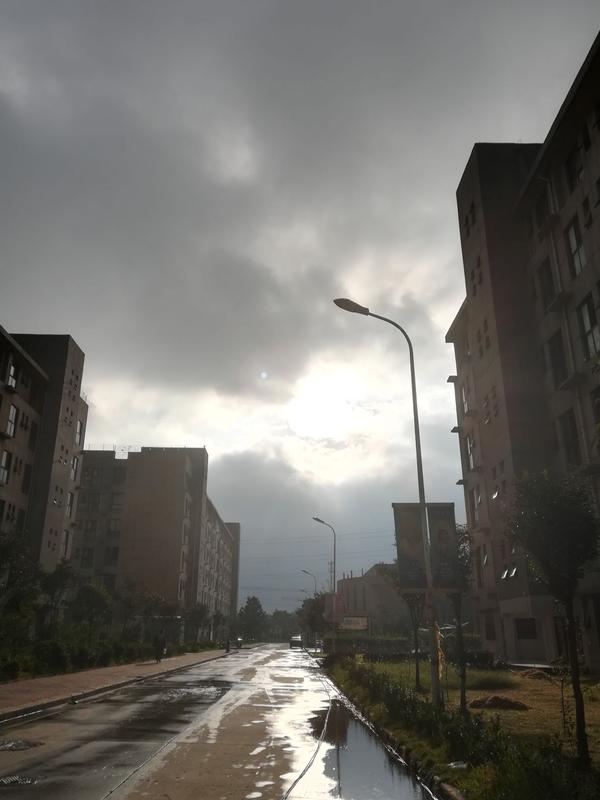 回宿舍的路上雨停了,天光乍破qaq