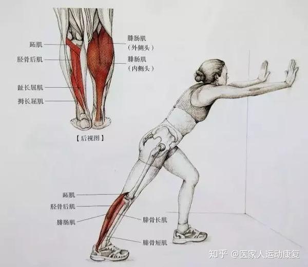 慢跑后如何有效放松拉伸小腿肌肉?