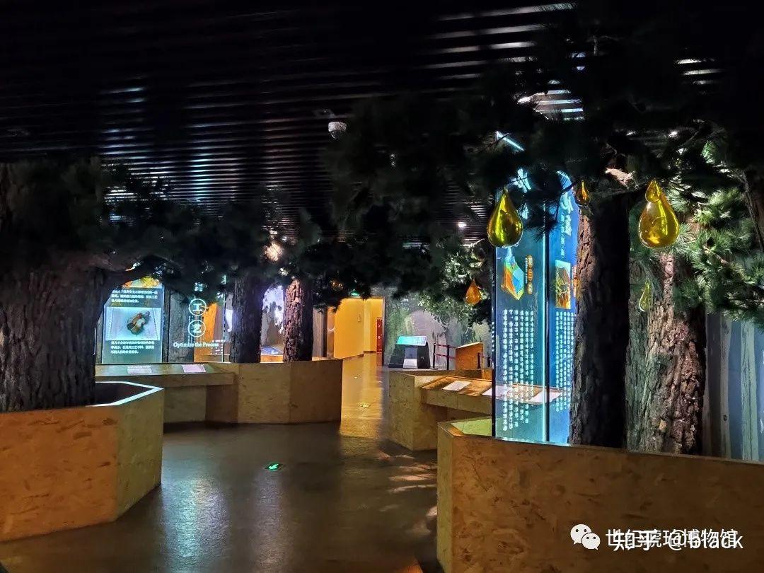 走进世纪琥珀博物馆探寻世界上最古老的宝石秘密