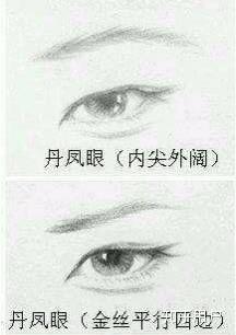丹凤眼是什么样子的