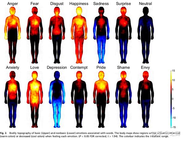 人体情绪温度