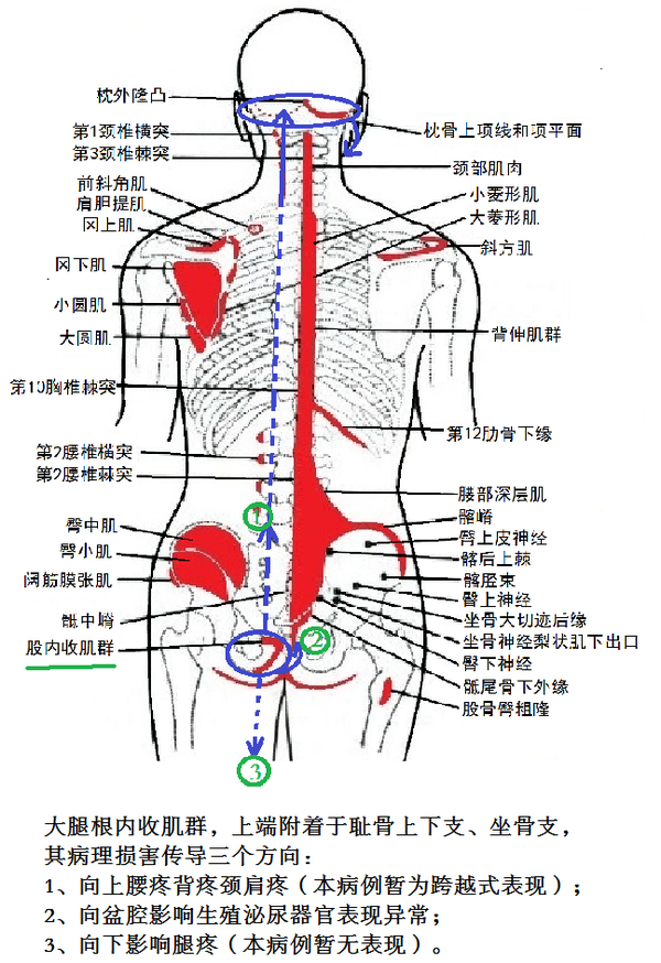 病例发布1—顽固的性交痛,牙龈发炎,牙龈出血,后脑麻木治愈