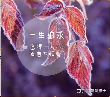 大侠来支招.