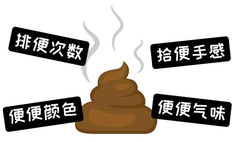 图片版权归食物链宠物食品所有狗便便的健康程度还可以根据颜色对照