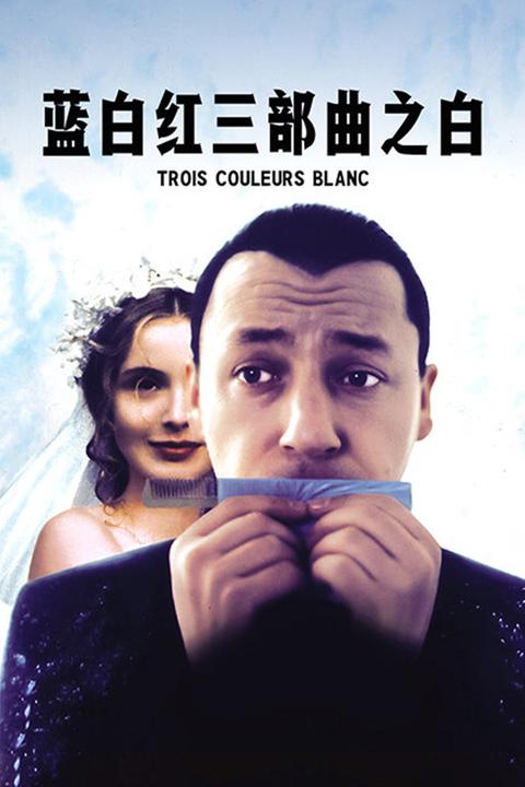蓝白红三部曲之白