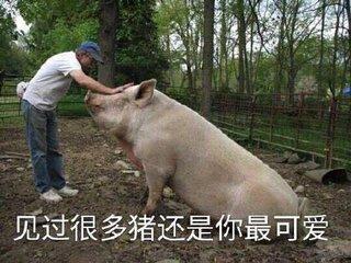 小粉猪表情包