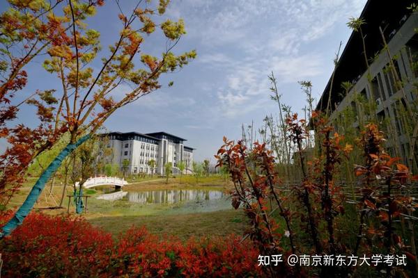 南通大学杏林学院简介