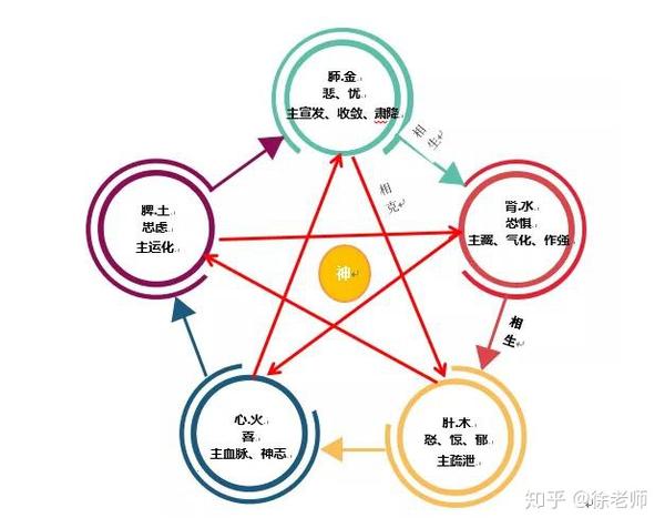 01"七情"与"五脏"的关系《黄帝内经》作出了阐释.