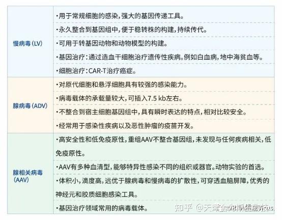 一文带你看懂慢病毒腺病毒腺相关病毒的区别和应用场景 知乎