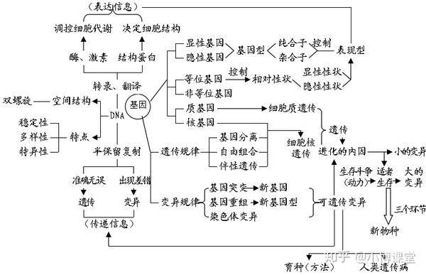 小博课堂:干货 | 高中生物思维导图最全汇总!简直太棒