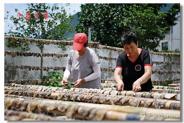 江西铅山村民忙晒茄子干美味可口势不可挡