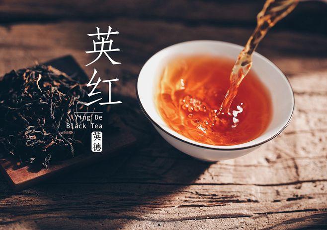 《英德红茶概述》(二)