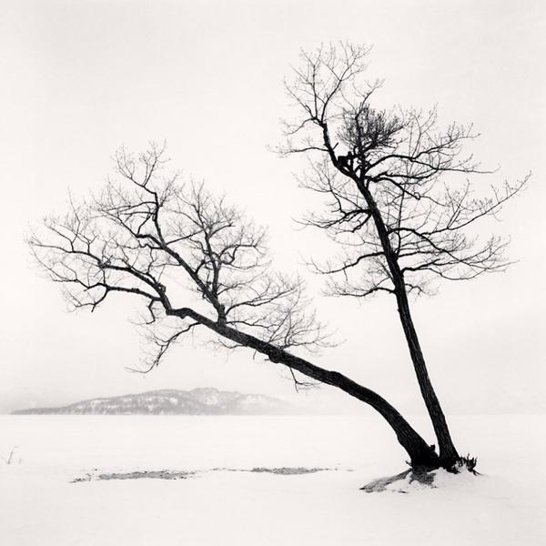 冬日雪景的黑白影像