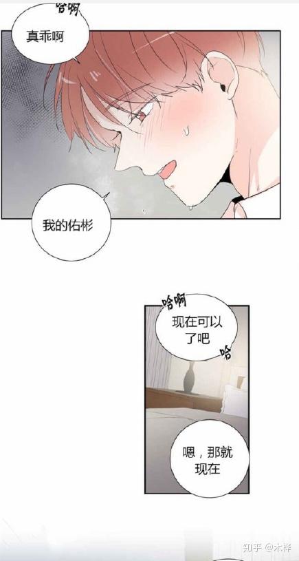 腐漫窗外的窗