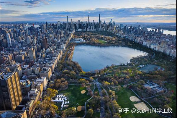 (震撼组图)俯瞰疫情下的纽约:空荡荡的时代广场和中央公园