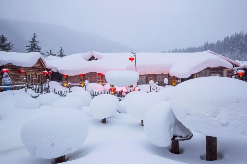 冬天去东北看雪最美的地方原来在这里