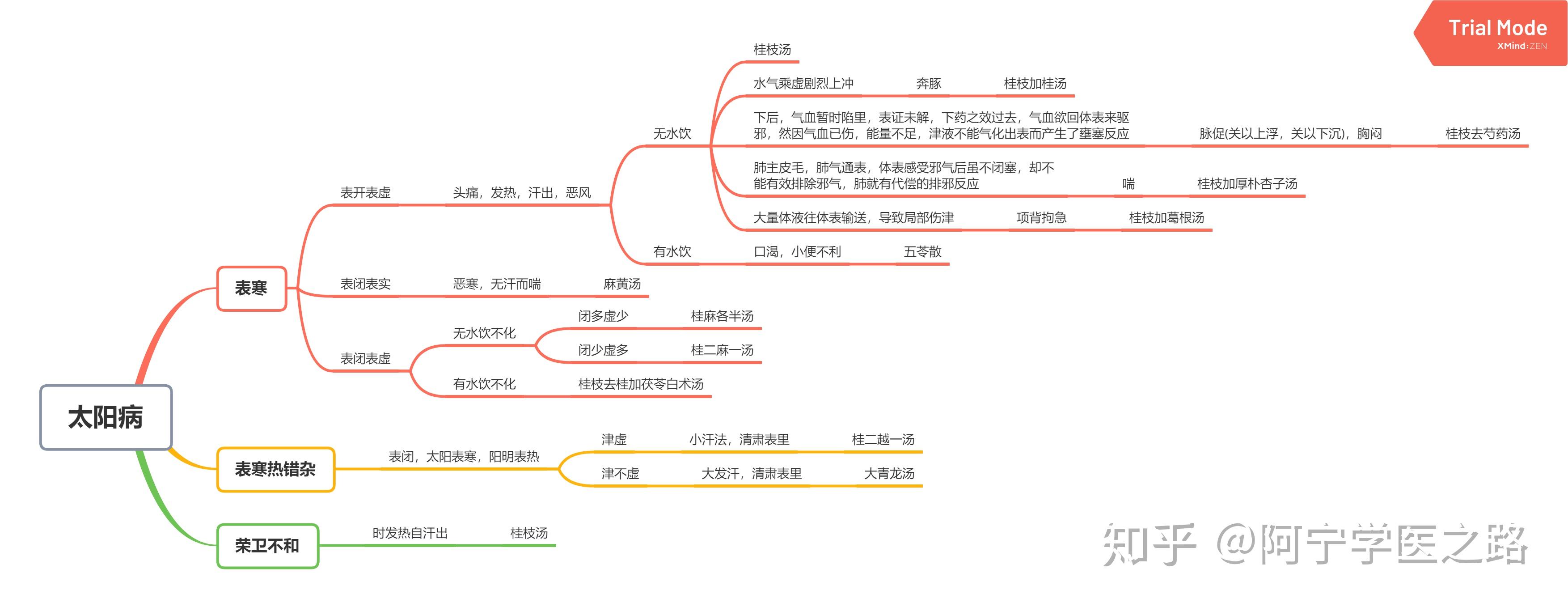 中医经典伤寒论思维导图笔记