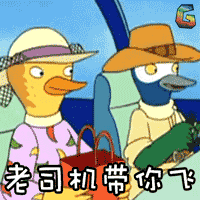 都不用慌 让维c一票高颜值高分段的学姐带你飞 工设/视觉/环艺 应有