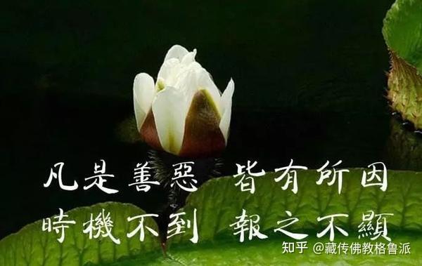 这个因果报应如此之快,没超过15小时(一定要看)