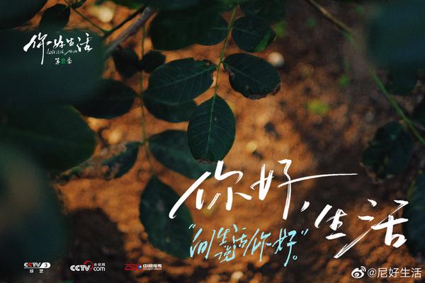综艺你好生活文案篇