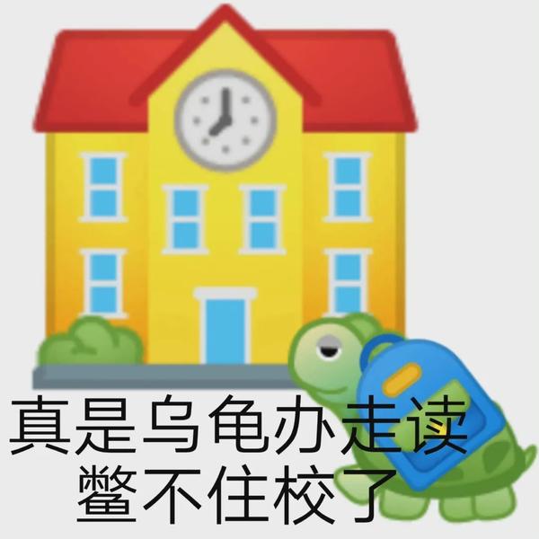 4.乌龟办走读——鳖不住校了