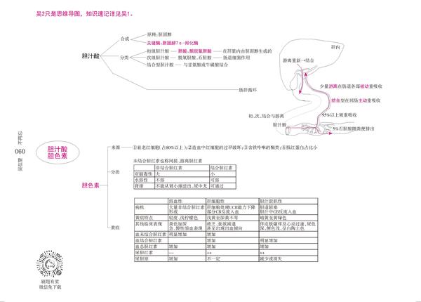 生物化学思维导图-吴在望生化思维导图pdf