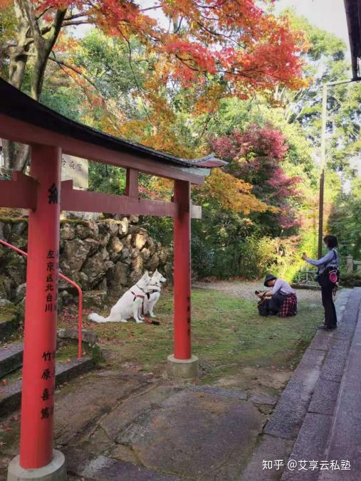 日本旅游想炸裂朋友圈吗那么请跟我来京都杨谷寺