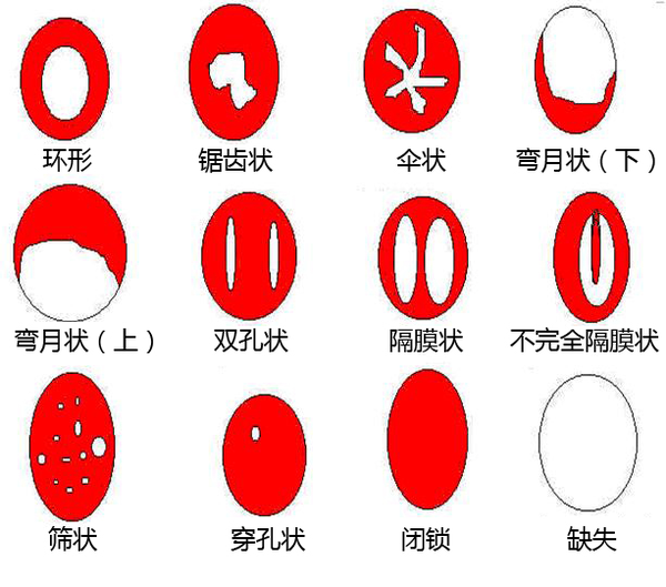 zhuanlan.zhihu.com