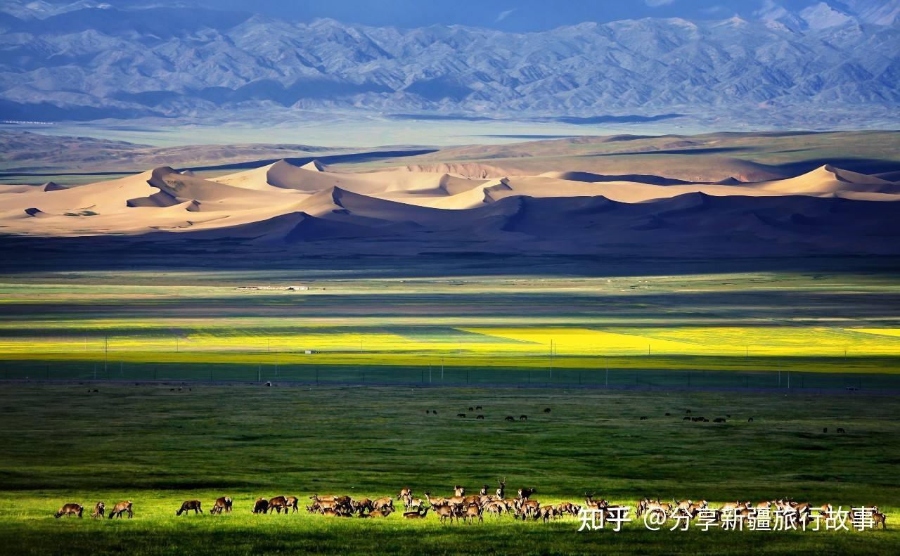 新疆旅游攻略73新疆旅游景区景点哈密地区景区景点